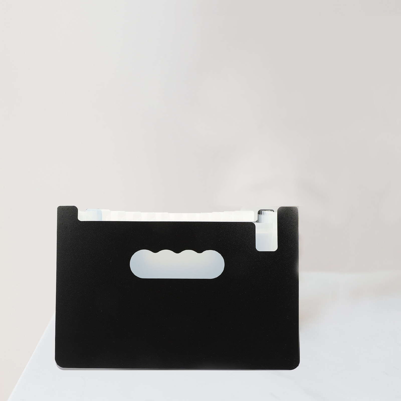 Travel Access - Fine Workmanship PP Accordion Folder for