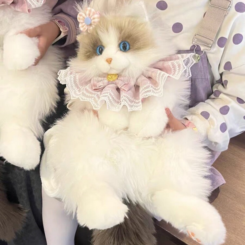 2026 New In Stock Ragdoll Cat  - đánh giá và giá Travel Accessories Ideas
