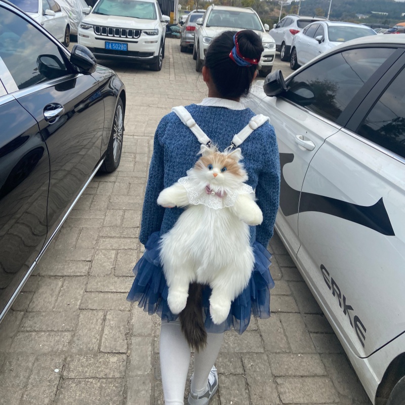 2026 New In Stock Ragdoll Cat  - đánh giá và giá Travel Accessories Ideas